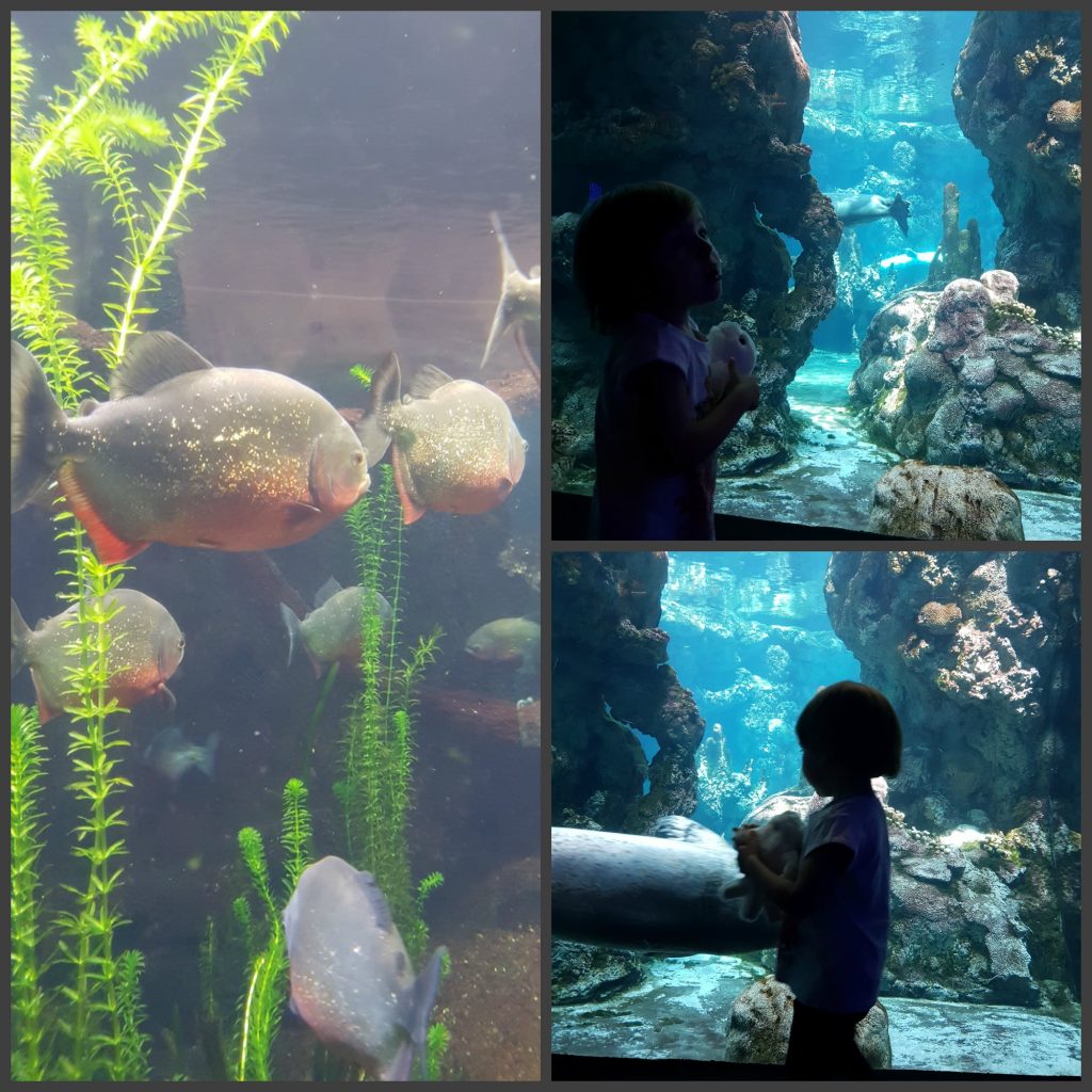 Acquario di Genova