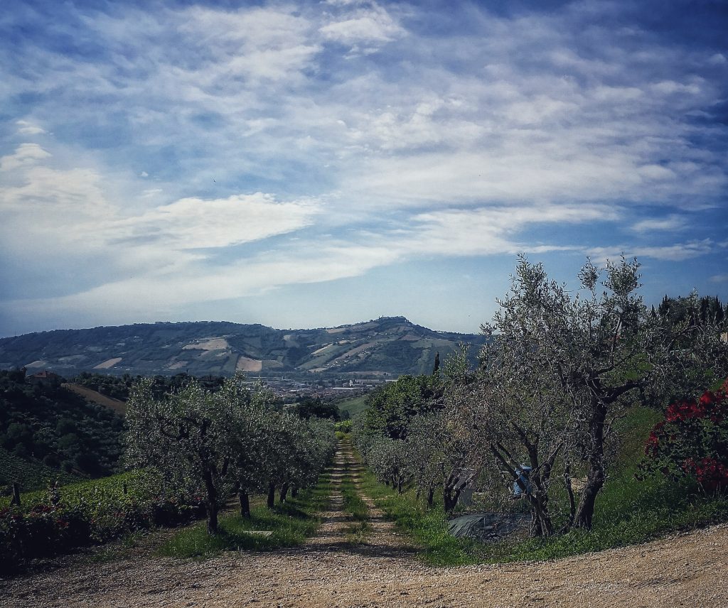 Tour del Piceno: 100 ore per scoprire le Marche