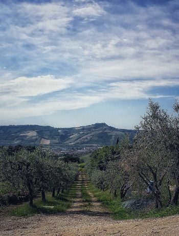 Tour del Piceno: 100 ore per scoprire le Marche