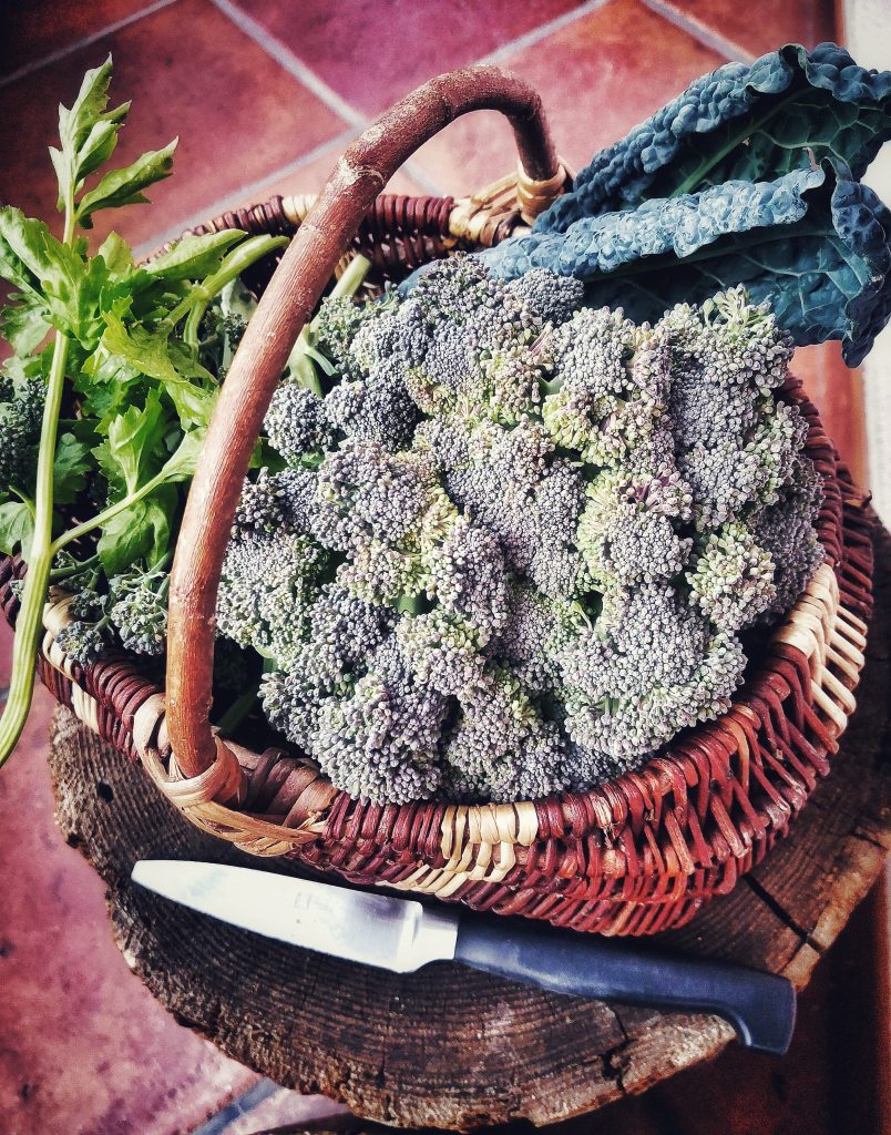 Pesto di cavoli e broccoli