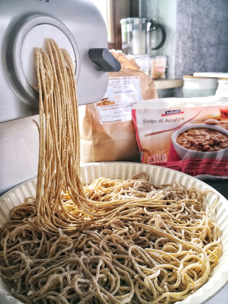 Spaghetti caserecci con farina di castagne e sugo di anatra